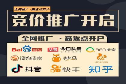 网络推广与竞价广告：双管齐下的策略案例